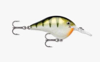 T_RAPALA DT YELLOW PERCH FROM PREDATOR TACKLE*